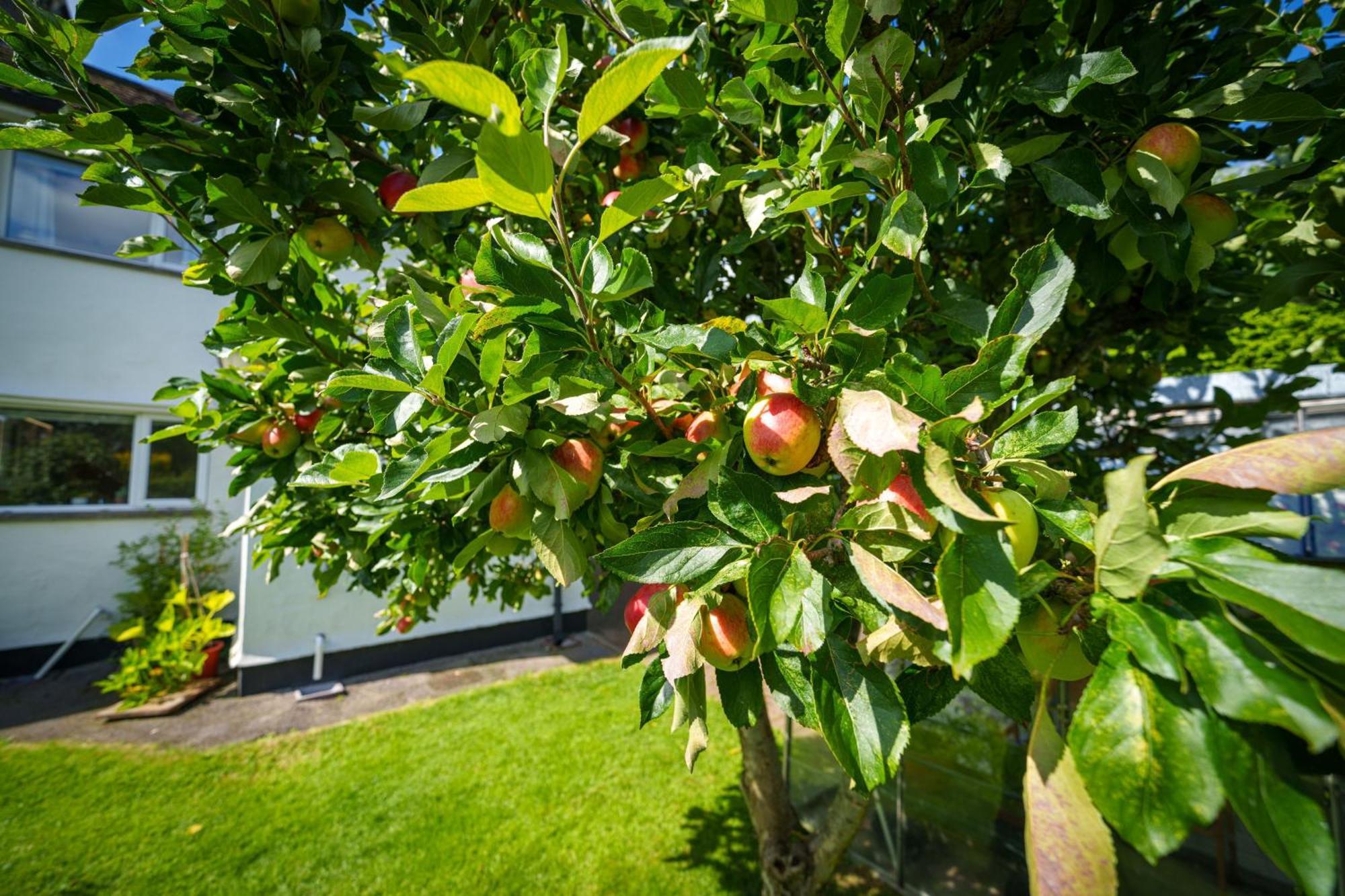 Villa Apple Byrd - Short Stroll Into Kendal Town Centre Esterno foto